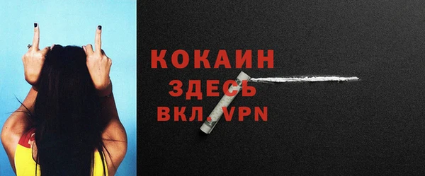 индика Кинешма