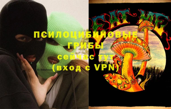 прущий лед Аша