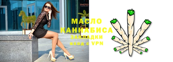 спайс Каменка