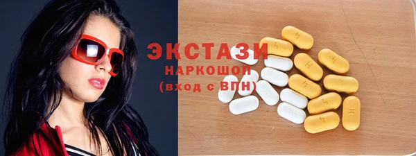 индика Кинешма