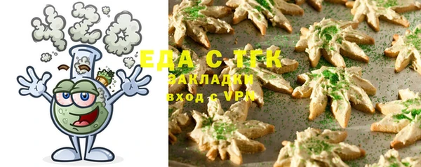 индика Кинешма