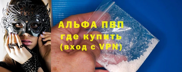 спайс Каменка
