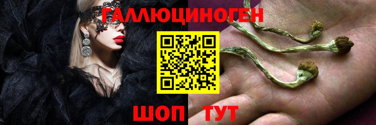Красноармейск  Галлюциногенные грибы прущие грибы  Галлюциногенные грибы Magic Shrooms  даркнет сайт  Вход с VPN 